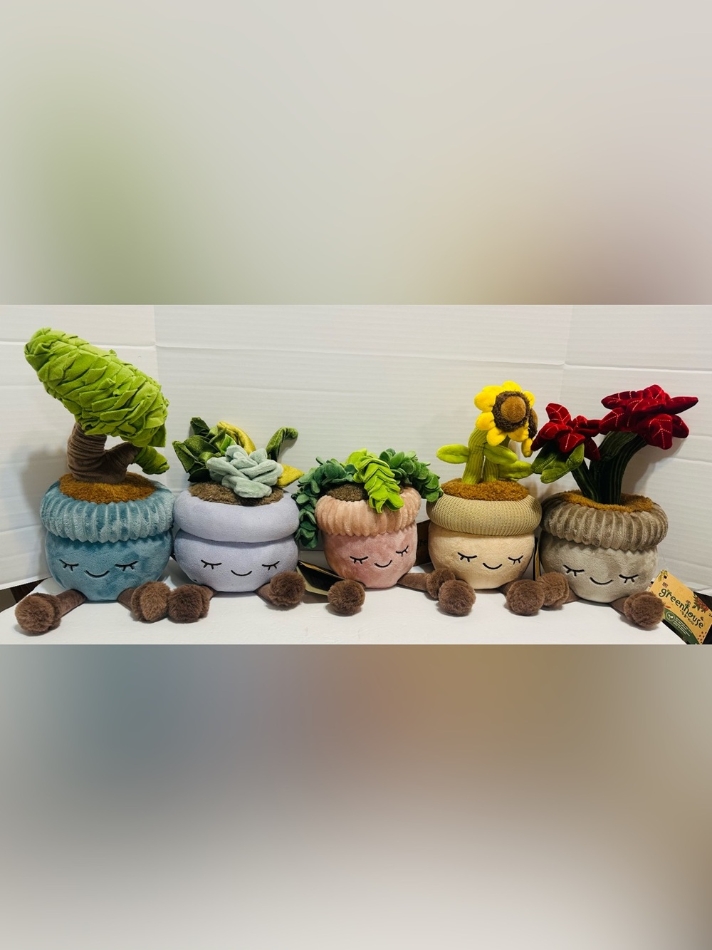 Greenhouse Russ 5 total, Donkeys Tail, Succulent, Poinsettia, Sunflower, & Bonsa